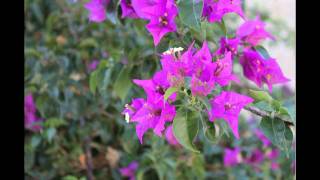 Happy Valentine's Day Rhodes