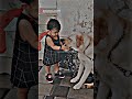 Dog Love Status ️Sigma Rule Shorts Inspiration Status Motivation Inspiration Emotional