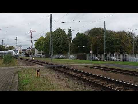 Einfahrt des RB 30 aus Dresden Hbf
