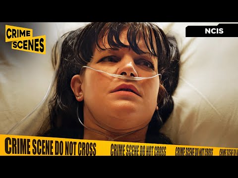 Abby Is Out Of Hospital But Can't Remember Things | NCIS (Mark Harmon, Sean Murray, Pauley Perrette)