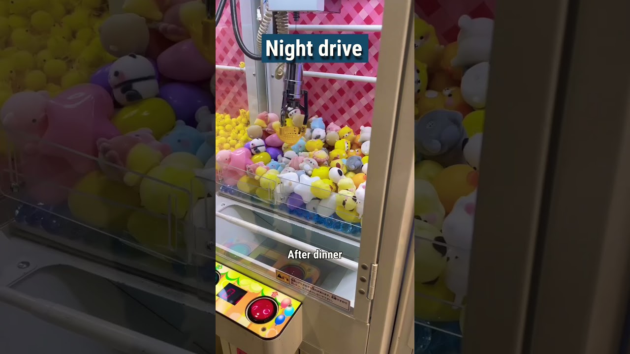 A simple night out in Japan with my family#japanvlog #slowliving #cozyvibes #lifeinjapan #ytshorts