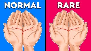 I'll Read Your Palm and Tell You Its True Meaning