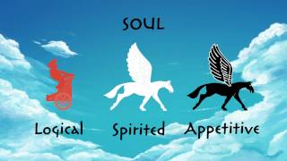 Chariot's Allegory - Plato