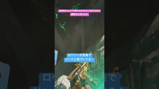 【#ゼルダの伝説ティアーズオブザキングダム 】ロベリーすごい