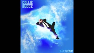 collie buddz  Like Yuh Miss