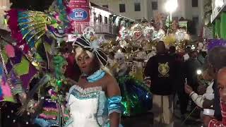 Genesis Boxing Day Junkanoo(2018)