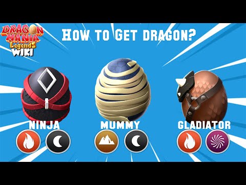 How to get Gladiator Dragon Mummy Dragon & Ninja Dragon? | Dragon Mania Legends