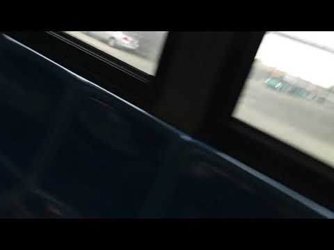 Bus Q101
