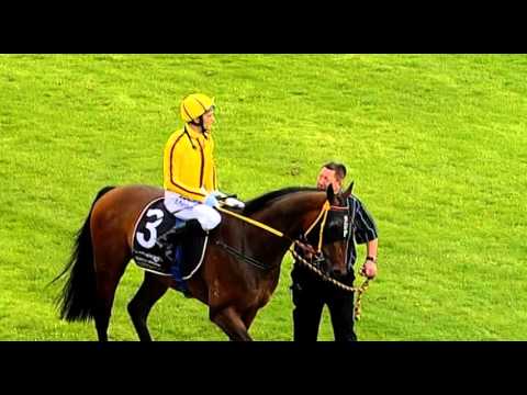 Ascot, 30/01/2016 - Race 3 - THE BLUE NIPPER - Mark Sestich & Brad Parnham