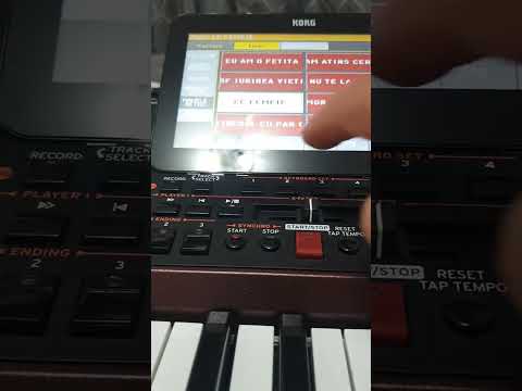 KORG PA1000, SET FULL OCT.2025🤗