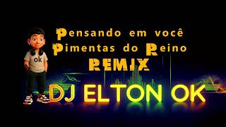Download lagu Pensando Em Você   Pimentas do Reino REMIX   Dj Elton Okey mp3