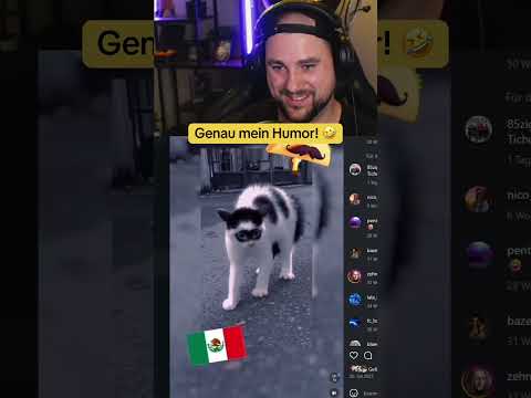 Genau mein Humor! 😂💀#Humor #Shorts #Viral