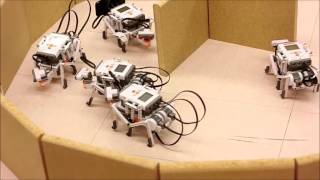 New First Year Robotics Course in School of Computer Science