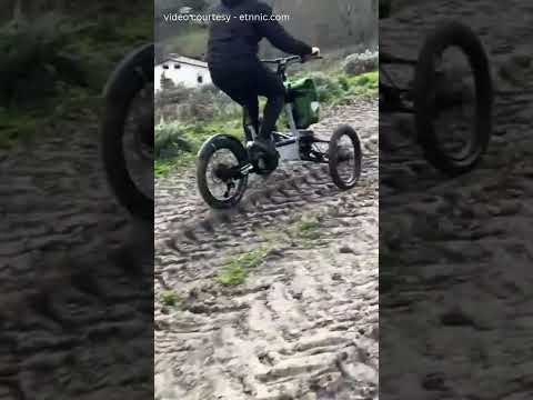 🚴‍♂️ This Electric Trike Makes Every Ride Feel Effortless