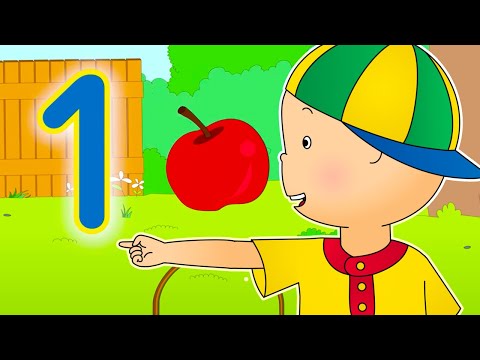 Caillou Counts Apples | Caillou Cartoon