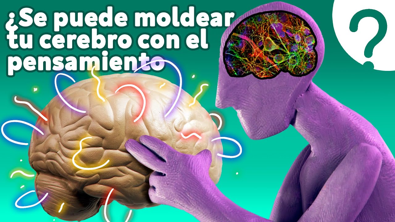 Camila Cánovas Barroso-9