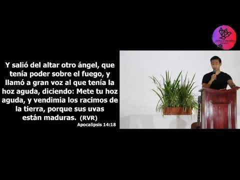 Apocalipsis 14:17-20 LA TIERRA ES SEGADA 2da PARTE