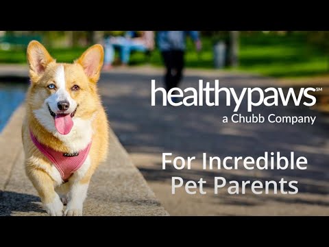 Healthy Paws