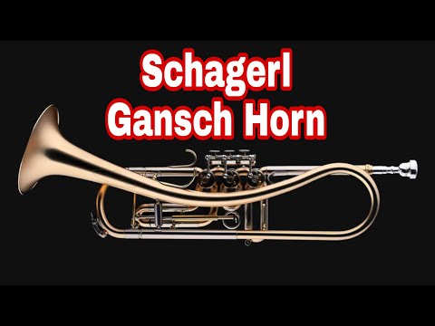 Schagerl Gansch Horn - MUST SEE!!