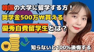 後悔します。秋入学おすすめしない❗️理由正規留学する方は見て‼️【韓国留学】
