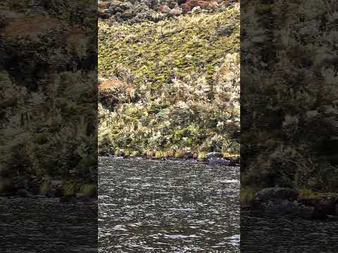 Páez Cauca ‼️🍃