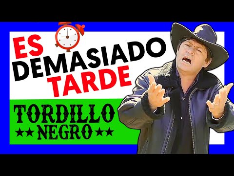 🐴 TORDILLO NEGRO - ES DEMASIADO TARDE (Video Oficial)