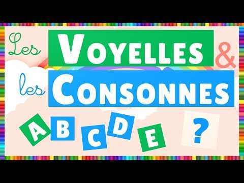 Vidéo 4