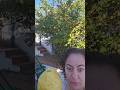 Lemon As Big As My Head Citron Lemons Lemontree Italy Amalfi Fyp