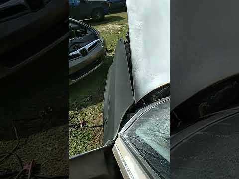 Thumbnail for cadillac Deville start up part 7 addictive to that v8 sound 🤣🤣🤣🤣🤣🤣 by Cadillac