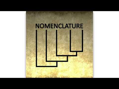 download lagu mp3 mp4 Vache Morte, download mp3 Vache Morte free downloadn, video klip Vache Morte