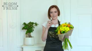Sunshine - Bloom and Fresh