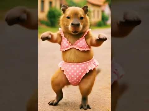 Capivara Capizita dançando a trend! #capivara #capibara #capybara #trend #shorts #funny