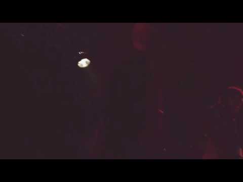 PROTEX - I Can Only Dream @ Hamburg - 30.12.2016