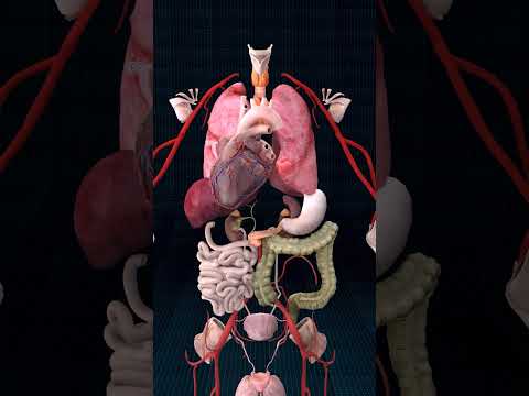 Smart Doctor 👨‍⚕️ and Smart Doctor Alt