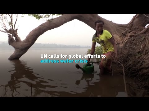 UN Water: A Global Effort to Address the World's Most Pressing Water