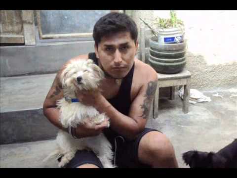 The Reason Hoobastank (Espaol) frank