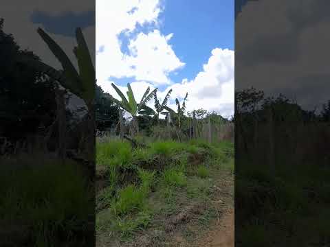 🌱 SÍTIO DOS SONHOS EM IBICUÍ! 66x66 — 4.356 m² NO BAIRRO ELDORADO | NIDE TV CULTURAL
