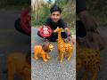 Duita RC Animal Toy Lion And Giraffe
