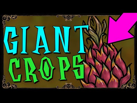 , title : 'HOW TO GROW GIANT CROPS | Don't Starve Together Guide