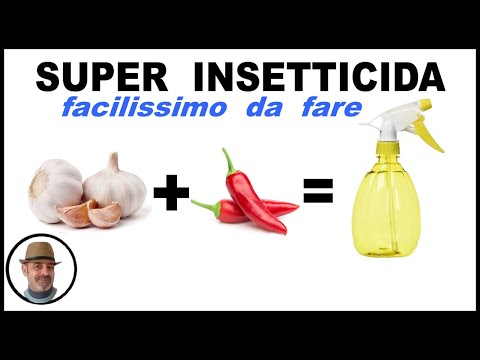 , title : 'aglio e peperoncino SUPER INSETTICIDA ( लहसुन और मिर्च )'