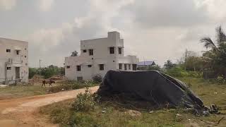  Residential Plot for Sale in Palliagraharam, Thanjavur
