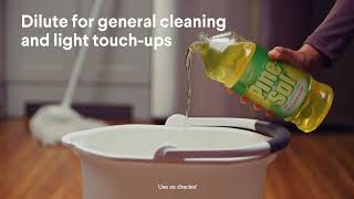 Pine-Sol 2X Concentrated Lemon Fresh Pine-Sol