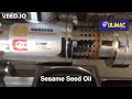 Sesame Seed Oil UM200 Cold Press Oil Machine Ölpresse L Huile De Chanvre زيت السمسم Soğuk