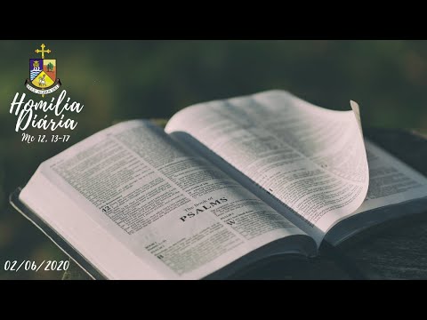 HOMILIA DIÁRIA: Terça-feira 02/06/2020 (Mc 12, 13-17)