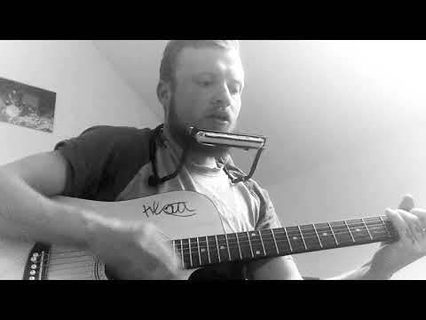 Franky Dlouhan - Nedvědi COVER