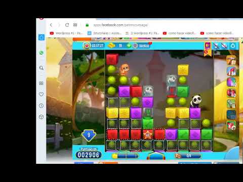 Pet Rescue level 3335, pet rescue, nivel 3335 pet rescue solucionado, solved, sin booster3335