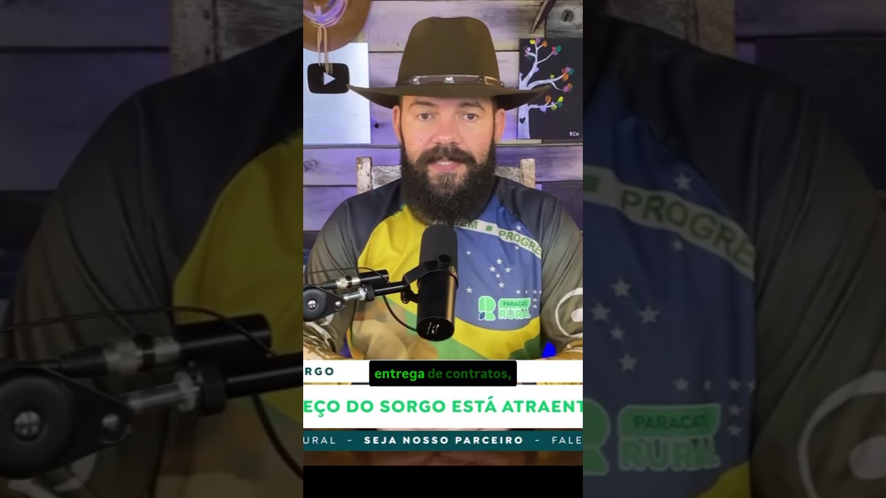 Por que o preço do sorgo está atraente para exportação?
