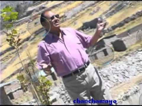 LOS PUQUIALES  .TE FUISTES LEJOS