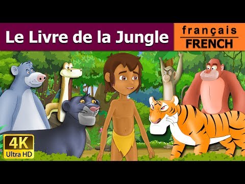 Le Livre de la Jungle | Jungle Book in French | Histoire Pour Les Petit | Contes De Fées Français