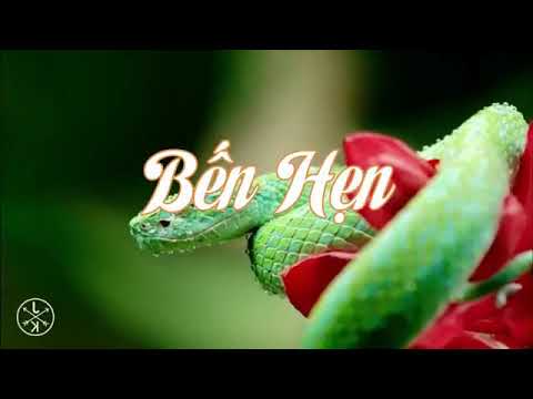 Bến Hẹn Gia Tiến_Thanh Ngân